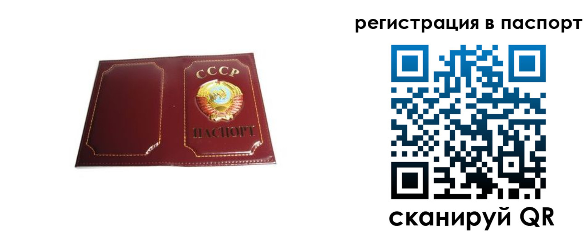 прописка 2025 в Городце